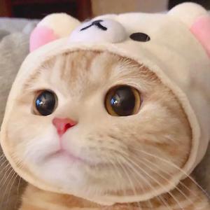 永不失联的爱(Live)