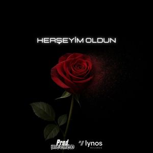 Herşeyim Oldun