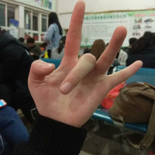 我的小鹿总是那么的美丽