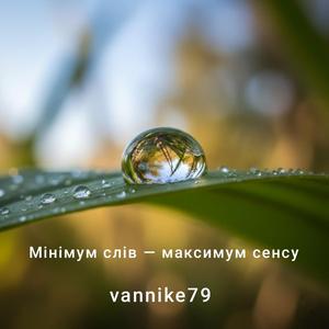 Мінімум слів — максимум сенсу