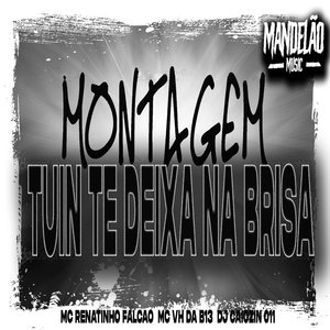 Montagem - Tuin Te Deixa na Brisa (feat. MC Renatinho Falcão, MC VH DA B13)