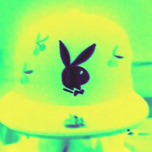 Whippets (Trippin Shit)