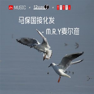 马保国接化发 (DJ版)