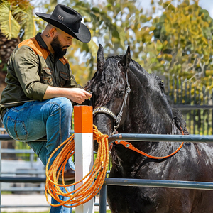 Mi Caballo Amigo