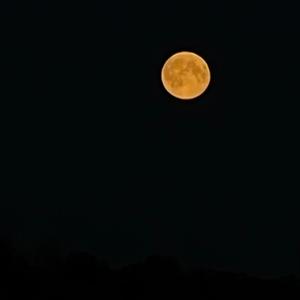 Insane Purgatory (feat. YajiFr)