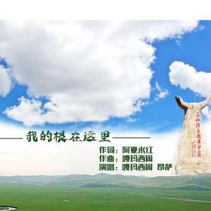 我的根在这里（藏语） 伴奏