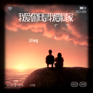 我爱你但是我要回家