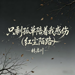 只剩孤单陪着我感伤(红尘陌路)