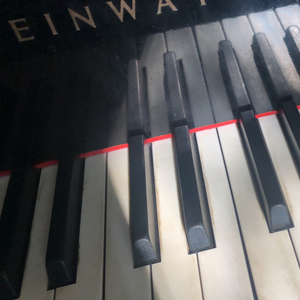 Forever Young (Remix 2023)