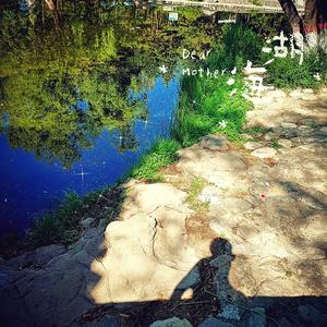 一个湖海边的梦