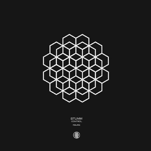 Control (Original Mix)