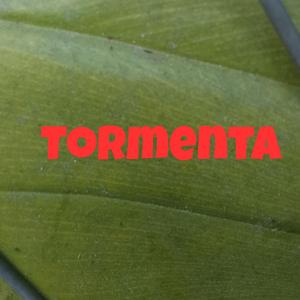 Tormenta (Special Version)