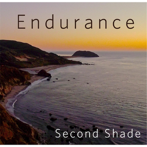 Endurance