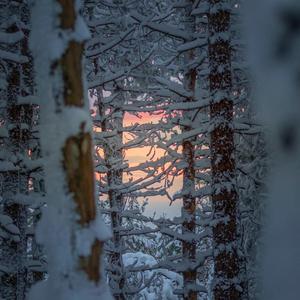 后来我们都懂了