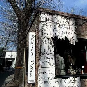 雨后晨光中颤动的蛛网之梦