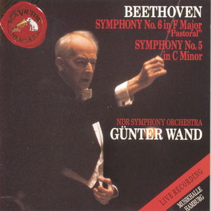 Symphony No. 5 in C Minor, Op. 67:I. Allegro con brio
