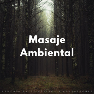 Susurros De Lluvia Sueños Emplumados