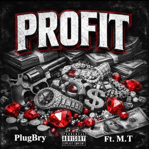 PlugBry Profit