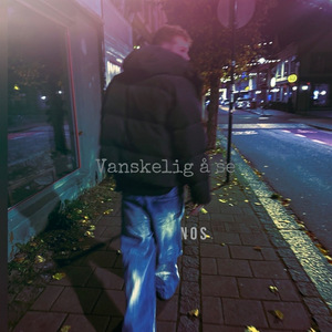 Vanskelig å se