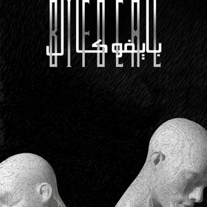 Confusion (with Armeeta Rouzbehani)