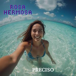 Preciso
