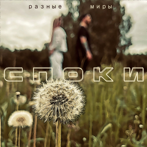 Разные миры