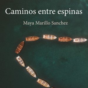 Imagine Que Viajamos