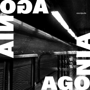 eu não pareço com você