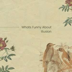 Whats Funny About Illusion