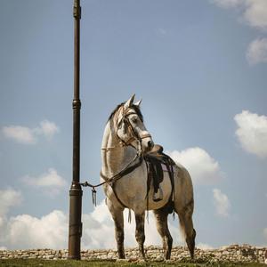 又想起了她的侧脸