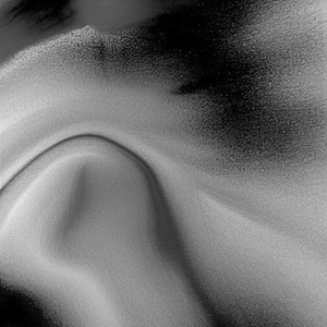 SENBONZAKURA (Cover)