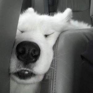 默默喜欢也很甜的！！！