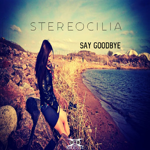 Say Goodbye (Original Mix)