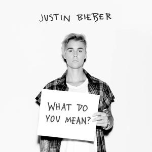 Justin Bieber-What Do You Mean？（扒带 Instrumental）（Ljx Ghost remix）
