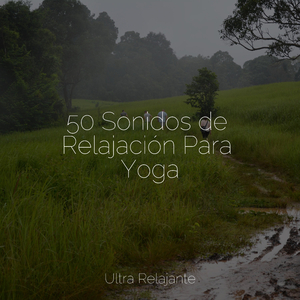 Navega Por El Flujo Tranquilo