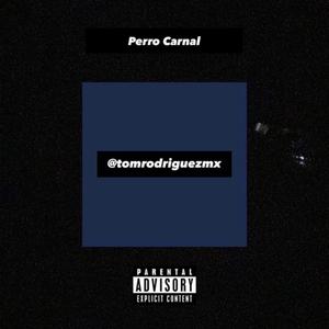 Project_ Perro Carnal (mastered).wav (feat. Chazzland)