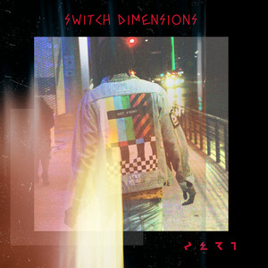 Switch Dimensions