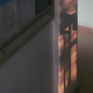 谁能想到我会遇见你