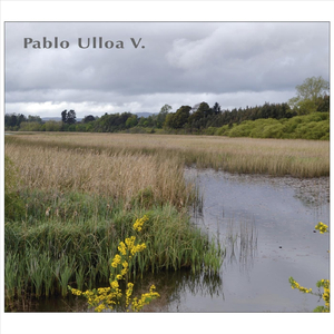 Flash (Fotos y Memoria)