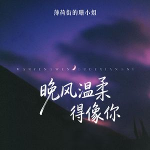 晚风温柔得像你