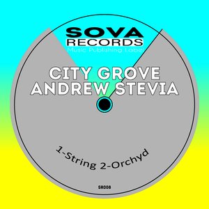Orchyd (Original mix)