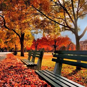 奇思妙想喜羊羊（weiback remix）