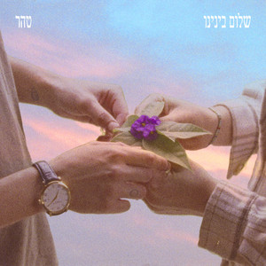 שלום בינינו