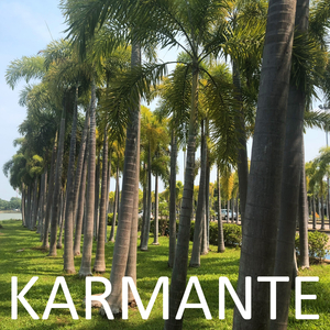 In the Abyss of Your Blue Eyes