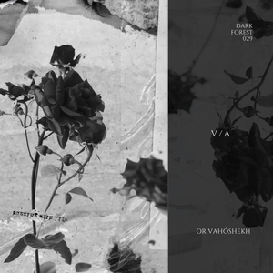 La Etica de la Crueldad