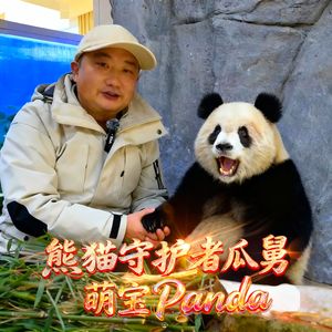 熊猫守护者瓜舅