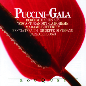 Madama Butterfly / Act 2:Un bel dì vedremo