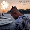 Sam Rice - Sos