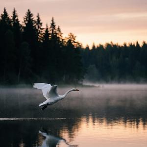 Ma jään