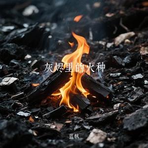 灰烬里的火种